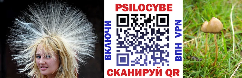 Галлюциногенные грибы мицелий  купить наркотики цена  Питкяранта 